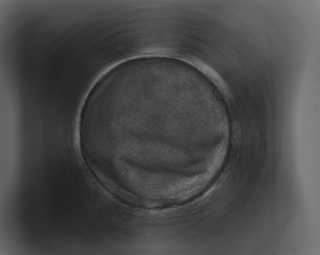 X0000100891288200807151049