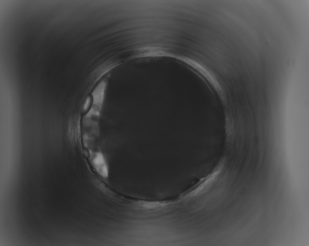 X0000100891289200807151049