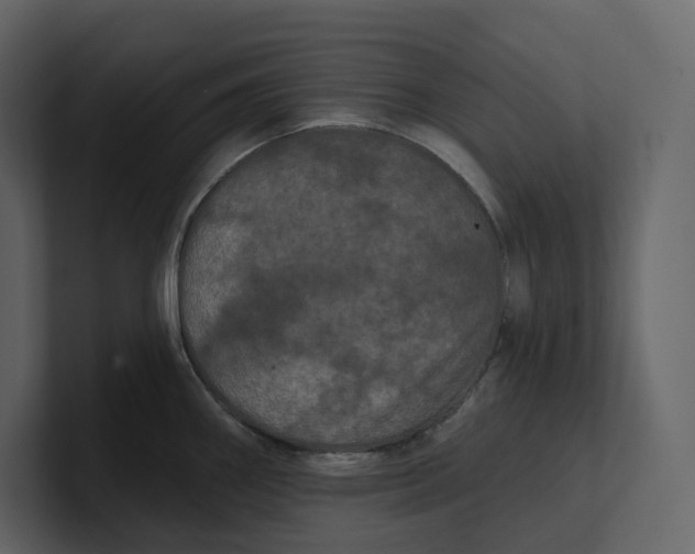 X0000100891290200807151049