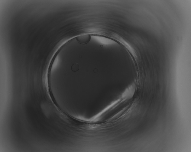 X0000100891291200807151049