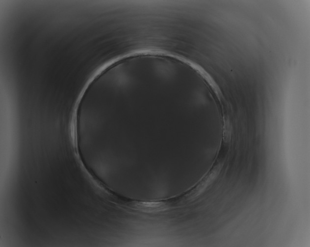 X0000100891295200807151049