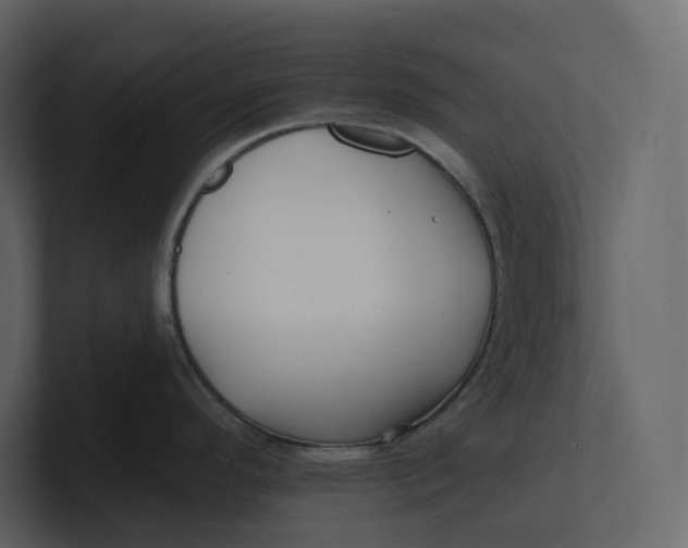 X0000100891296200807151049