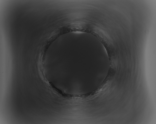 X0000100891297200807151049