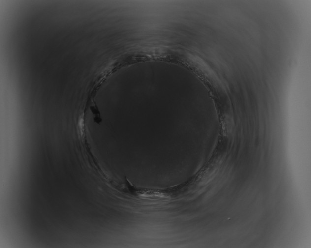 X0000100891298200807151049