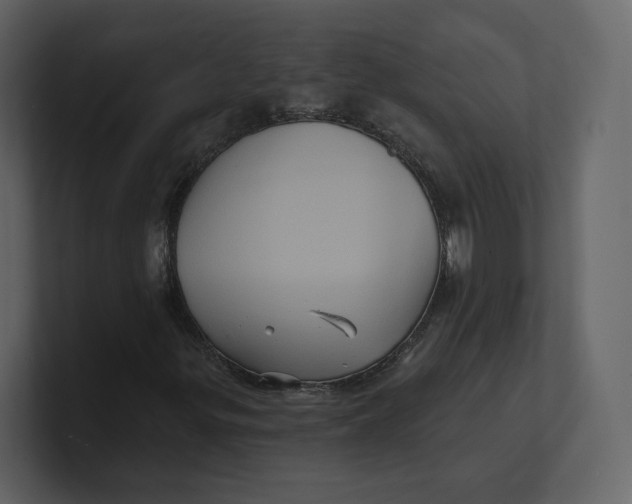 X0000100891299200807151049