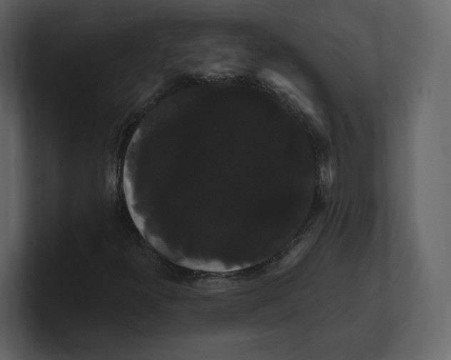 X0000100891300200807151049