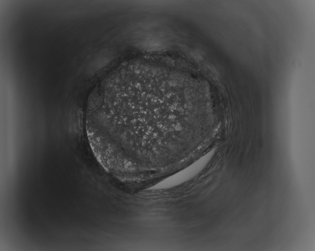 X0000100891301200807151049