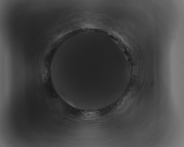 X0000100891303200807151049