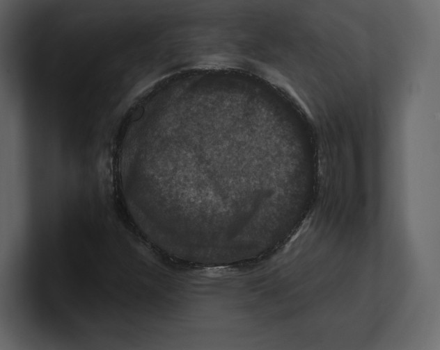 X0000100891304200807151049