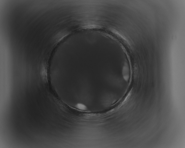 X0000100891305200807151049