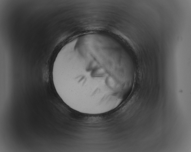 X0000100891306200807151049