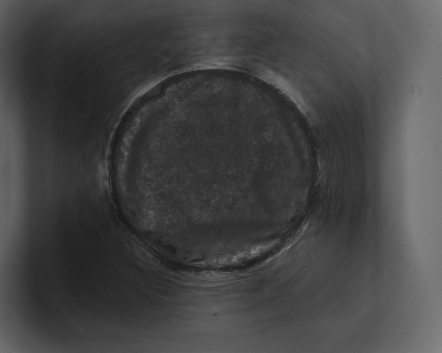 X0000100891308200807151049