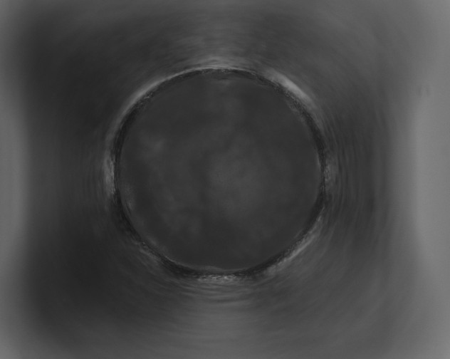 X0000100891310200807151049