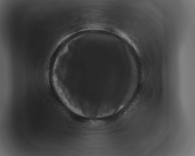 X0000100891312200807151049