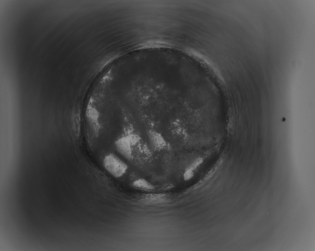 X0000100891313200807151049