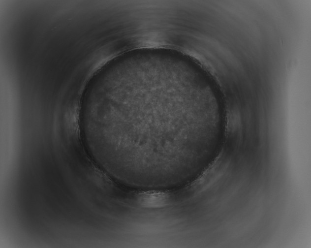 X0000100891314200807151049