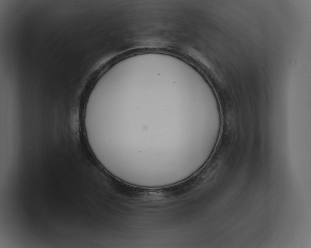 X0000100891315200807151049