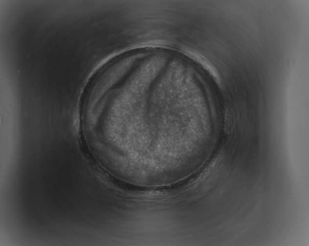 X0000100891316200807151049