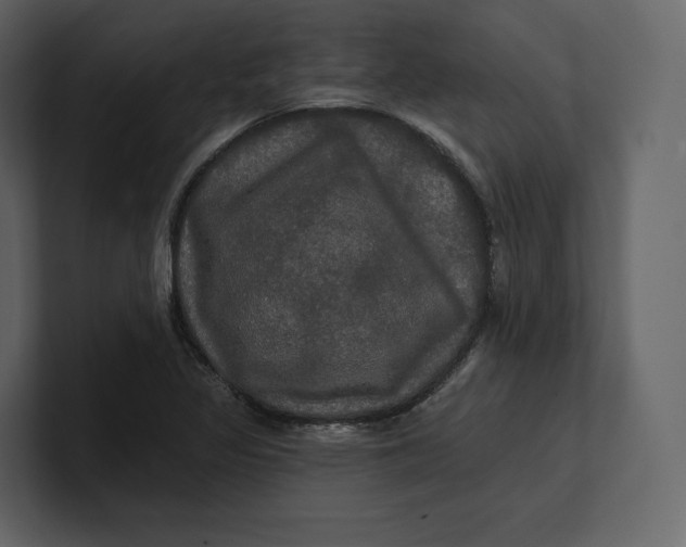 X0000100891317200807151049