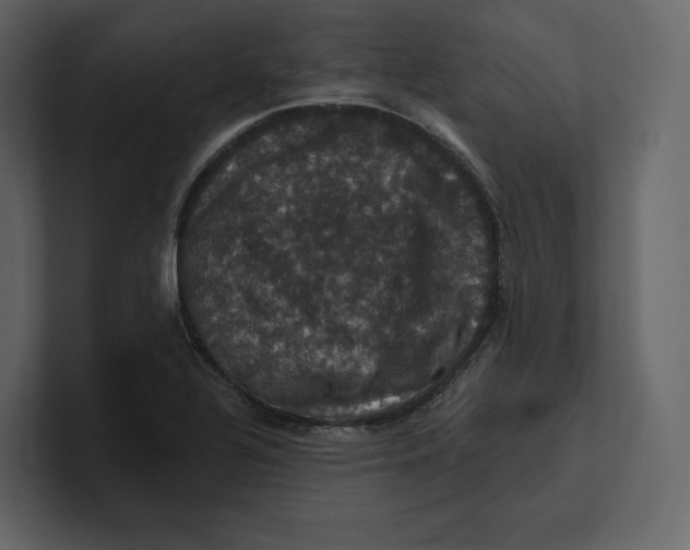 X0000100891320200807151049