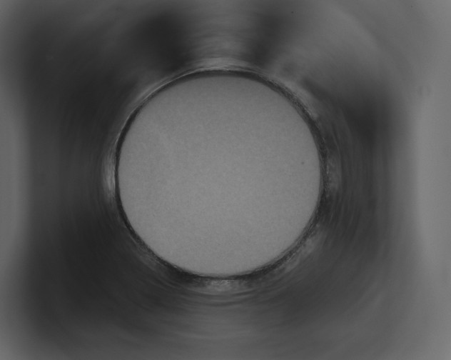 X0000100891322200807151049