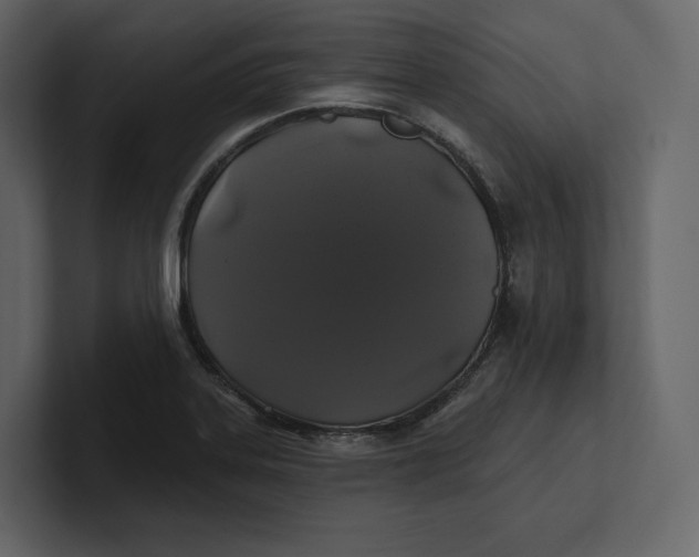 X0000100891323200807151049