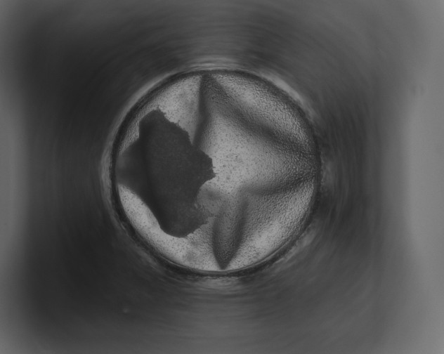 X0000100891325200807151049