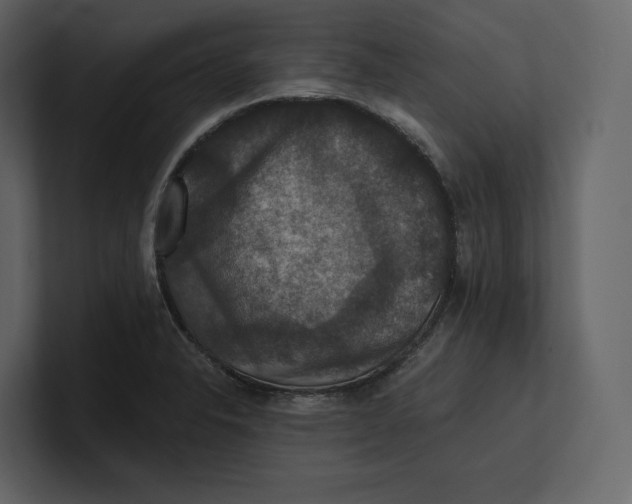 X0000100891326200807151049