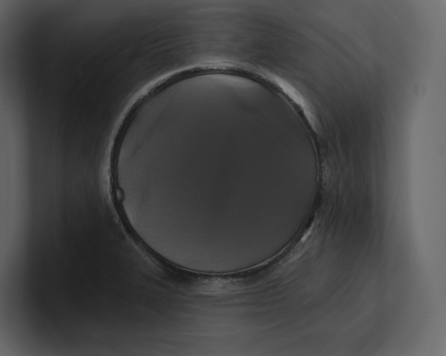 X0000100891327200807151049