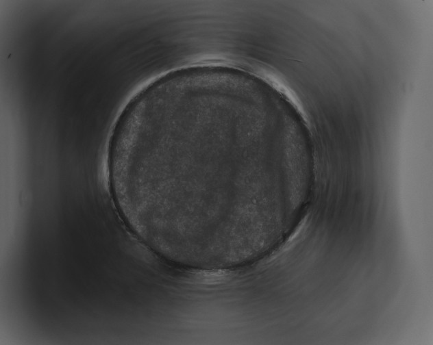 X0000100891328200807151049