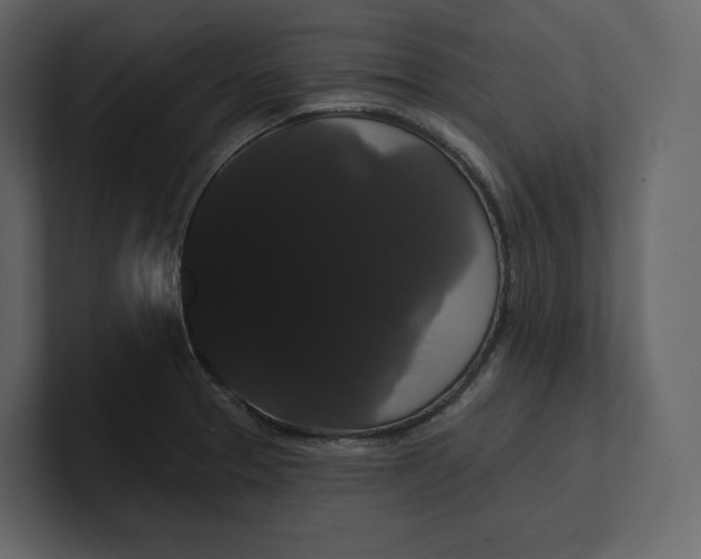 X0000100891329200807151049