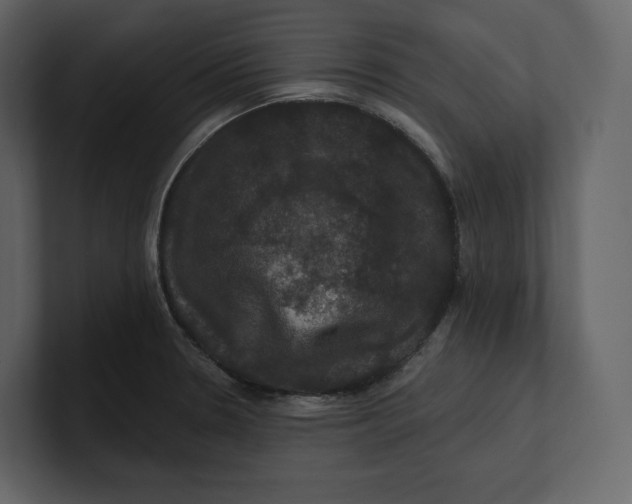 X0000100891330200807151049