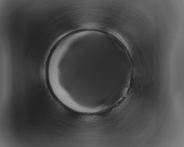 X0000100891331200807151049