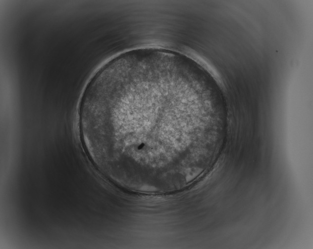 X0000100891332200807151049