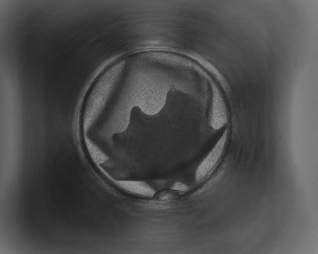 X0000100891333200807151049