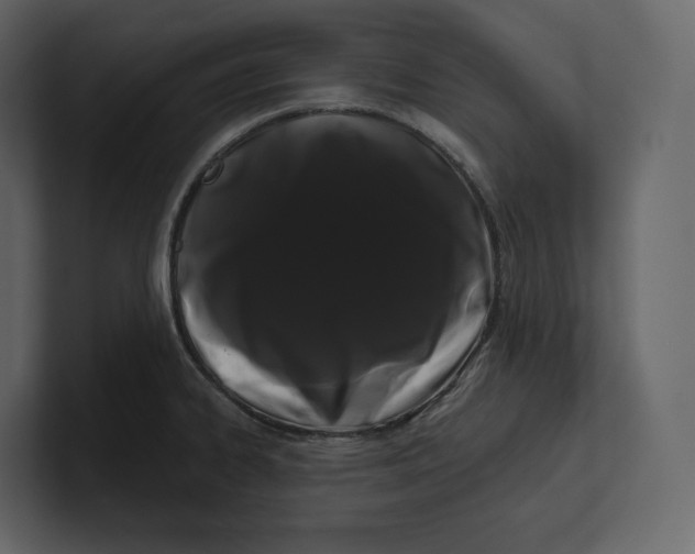 X0000100891334200807151049