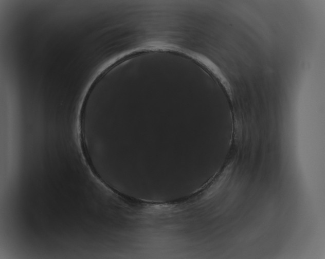 X0000100891335200807151049