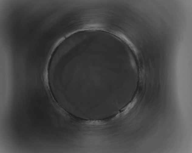 X0000100891336200807151049