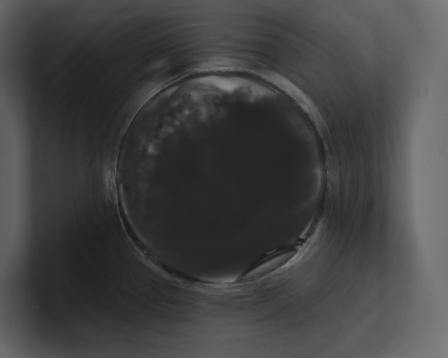 X0000100891337200807151049