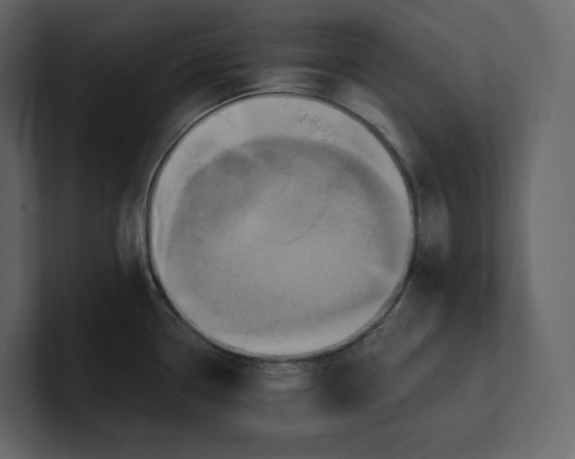 X0000100891338200807151049