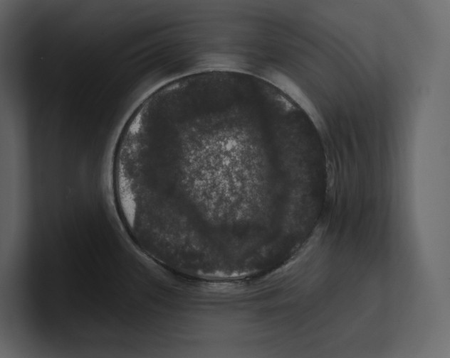 X0000100891339200807151049