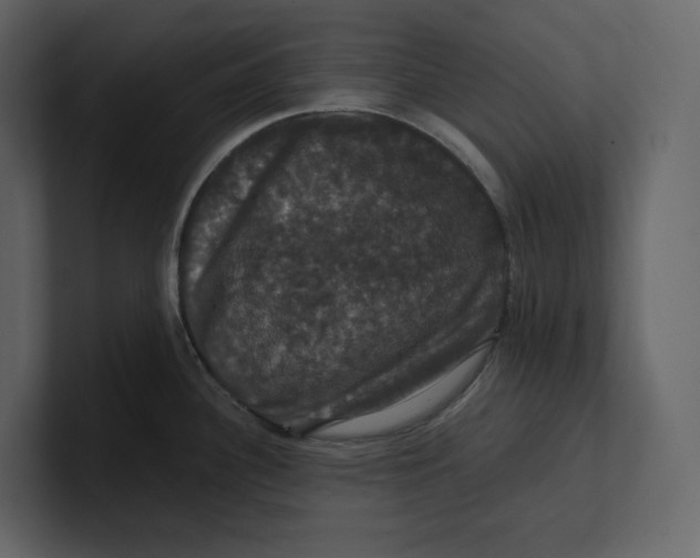 X0000100891340200807151049