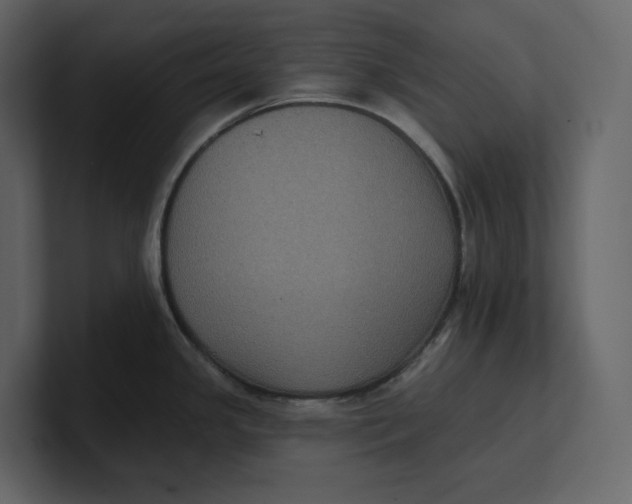 X0000100891341200807151049