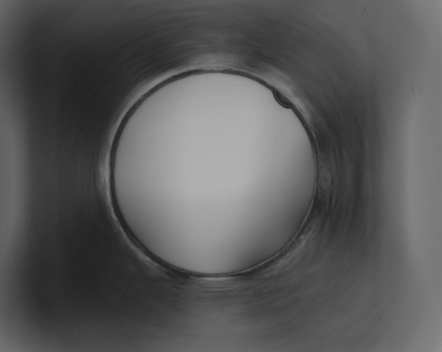 X0000100891343200807151049