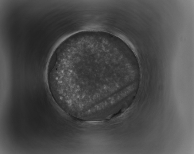 X0000100891344200807151049