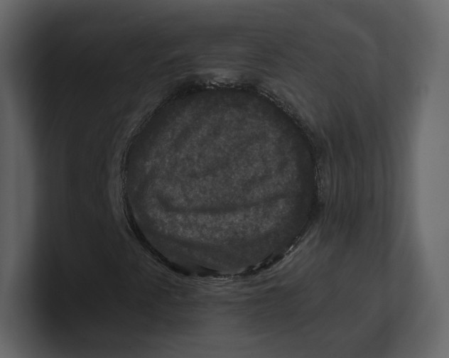 X0000100891345200807151049