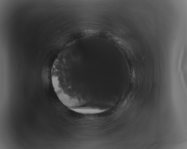 X0000100891346200807151049