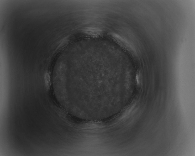 X0000100891347200807151049