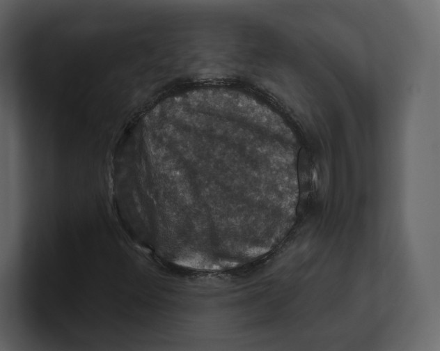 X0000100891348200807151049