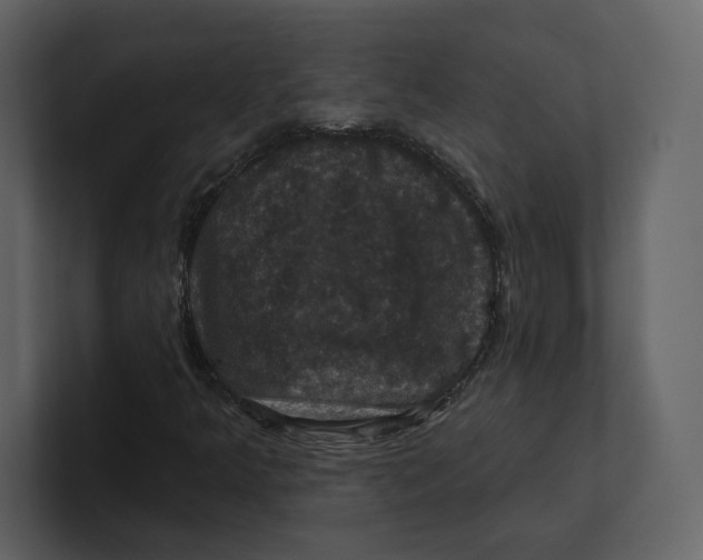 X0000100891349200807151049